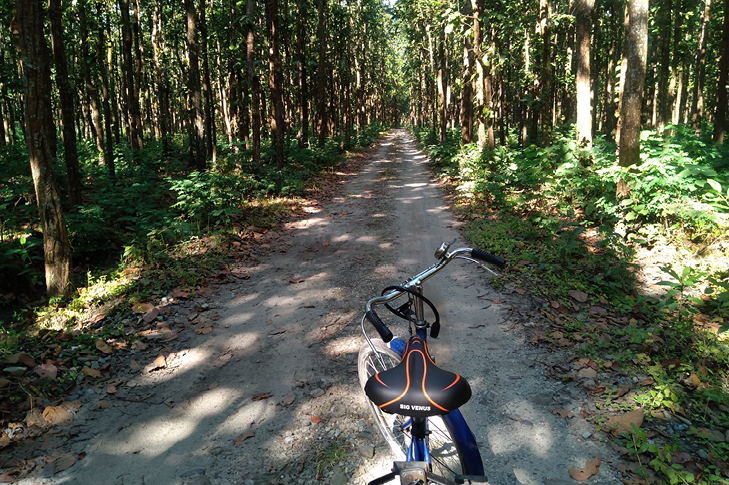Balades à vélo