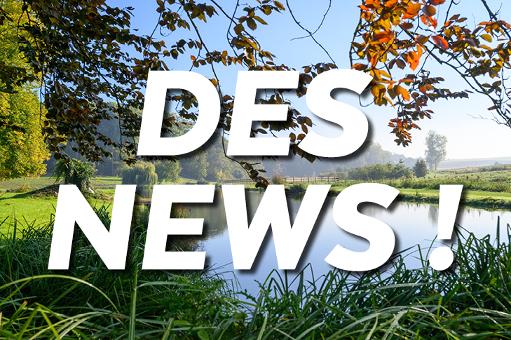 Newsletter-n°55 - mai 2026