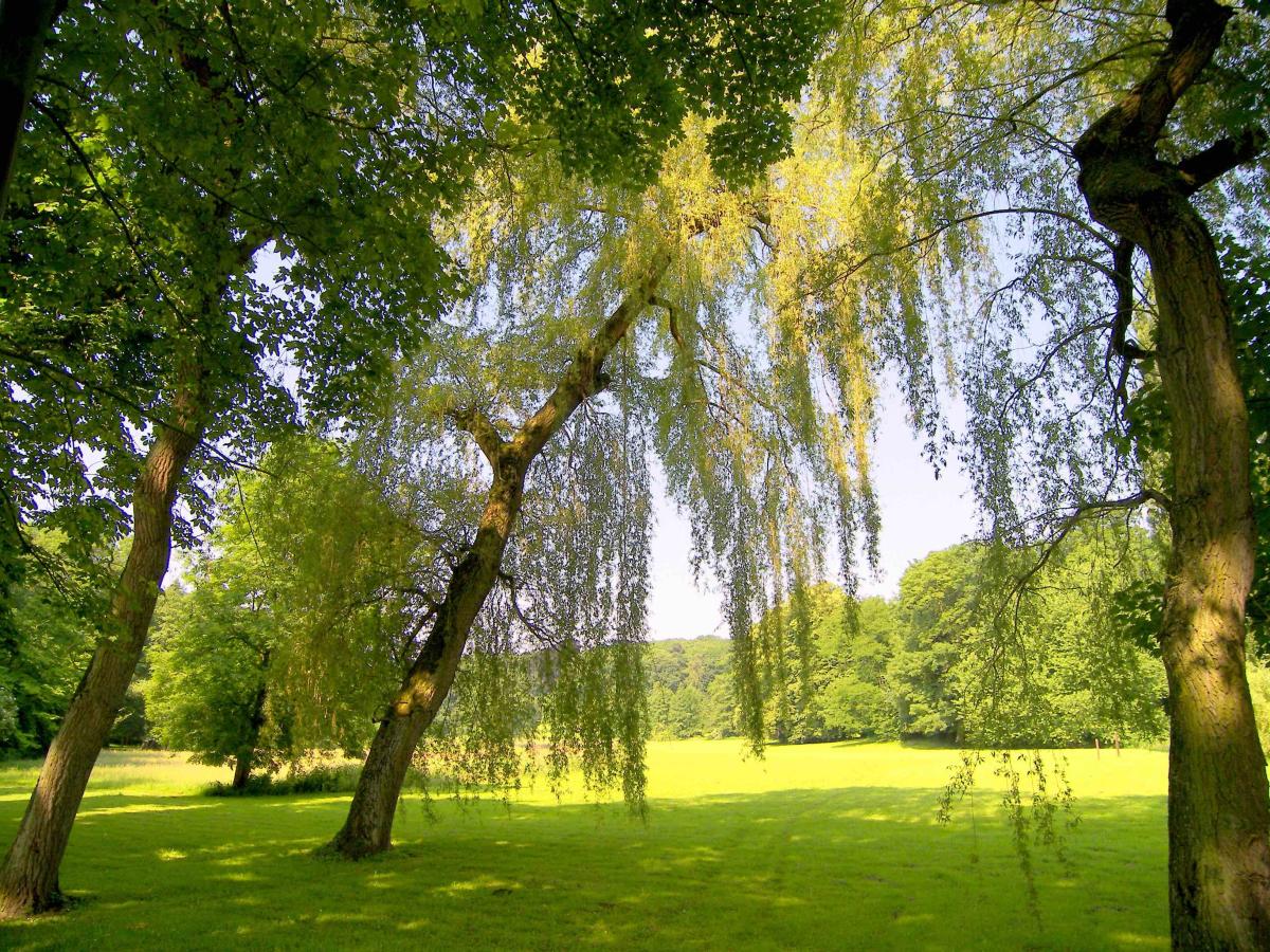 Arboretum de Monceau-sur-Sambre/ Parc Nelson Mandela