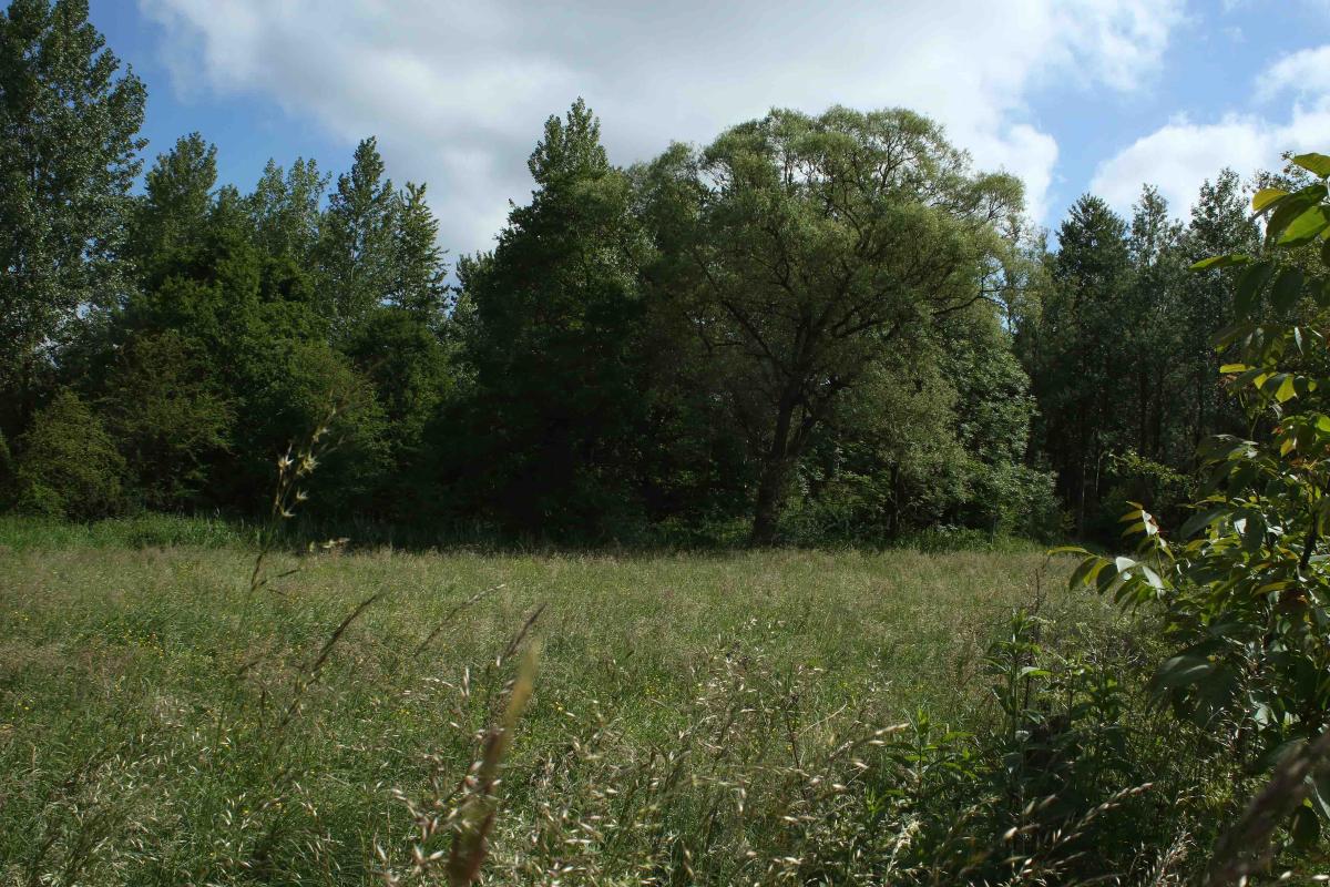 La réserve naturelle « Les Prés rosières » à Deux-Acren