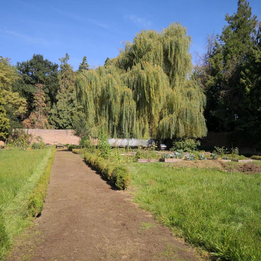 Parc du Château de Waleffe Saint-Pierre