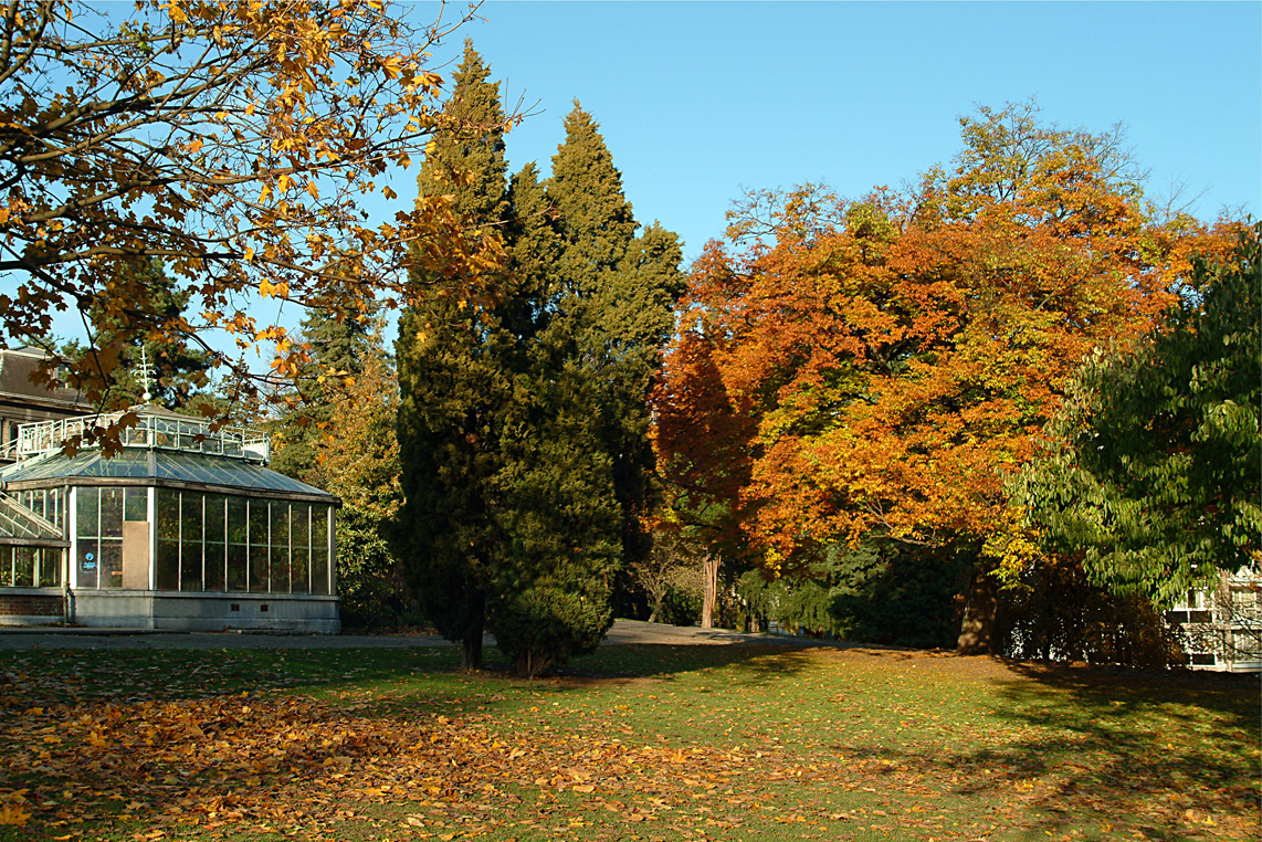 Serres dit Arboretum du Jardin Botanique (Liège) 