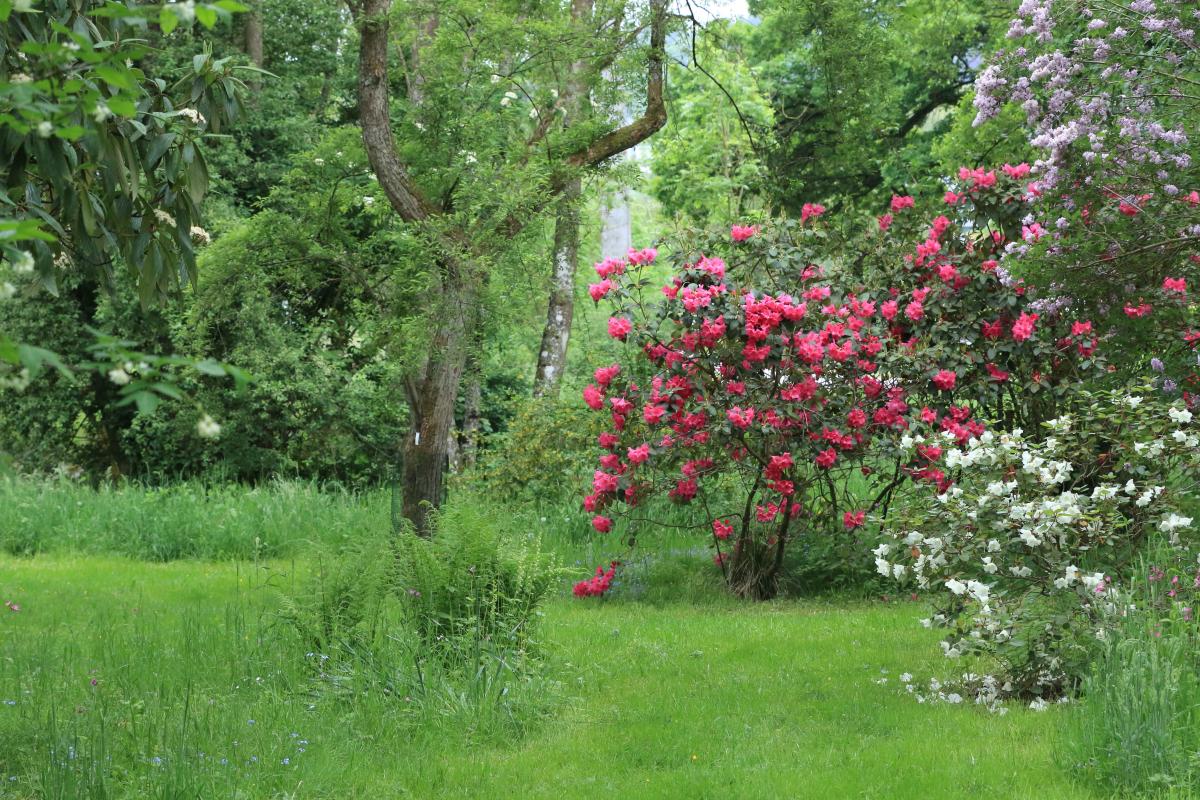 Arboretum Lenoir (Rendeux) 