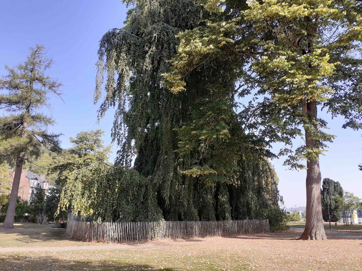 Parc de La Plante (Namur)