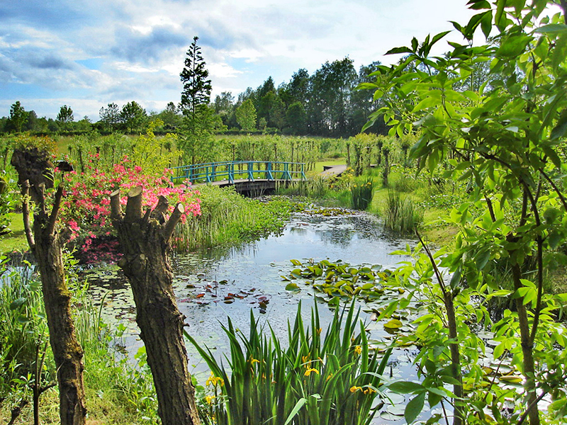 Les Jardins du lac de Bambois