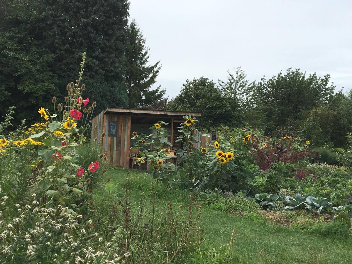 Eco-jardin de l'Oree du Bois