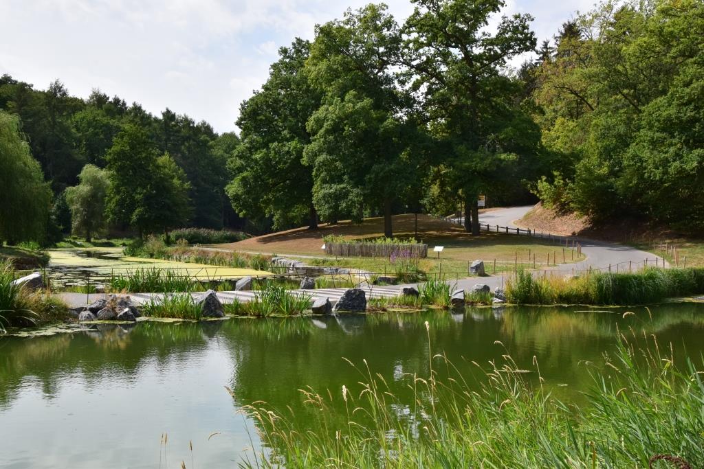 Domaine de Chevetogne