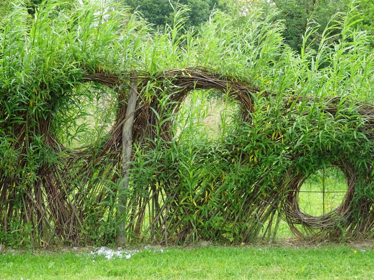 Jardin didactique du parc naturel de Burdinale-Mehaigne