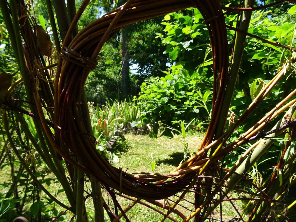 Willow Land Art - Le saule paysager (jardin en face) et Pulsions végétales (jardin attenant à la maison)