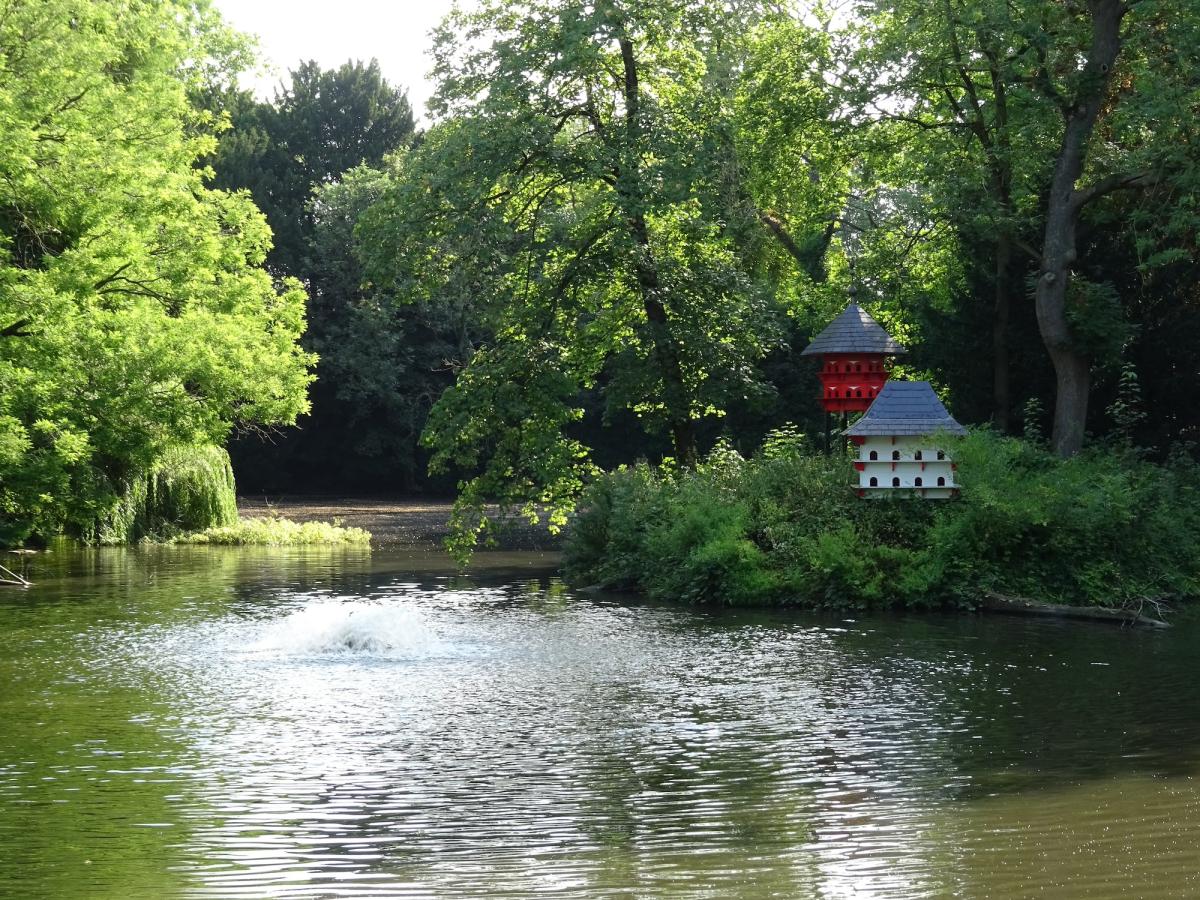 Jardin de la Reine 
