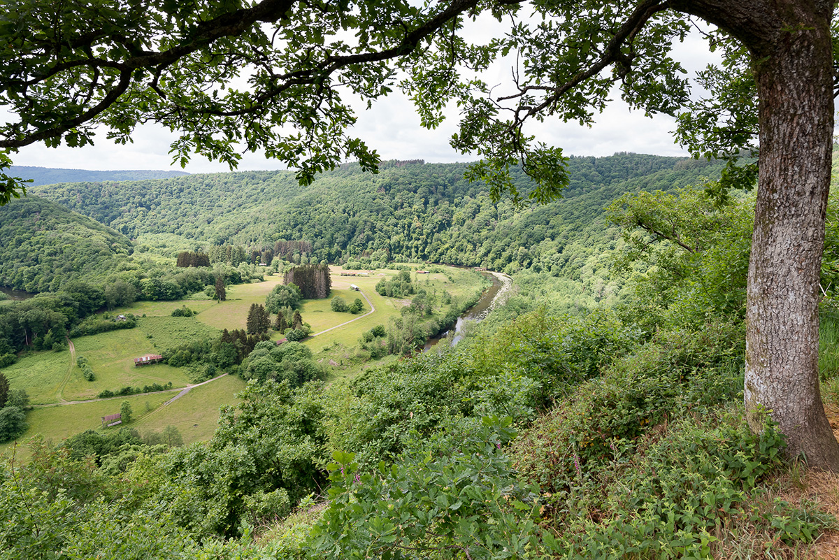 Réserve naturelle de Bohan-Membre