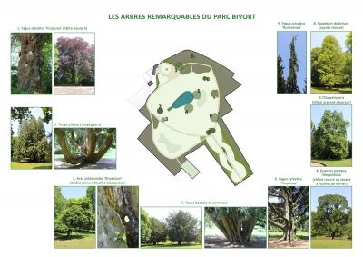 Plan: Parc Bivort (Jumet)