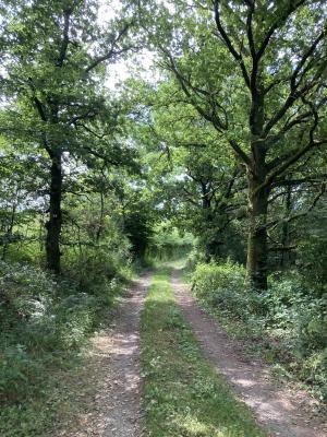 Petite balade pleine de charme à Masbourg : Promenade de Haubin (balisage croix 