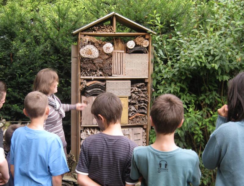 Stage Chantier nature dans le Parc