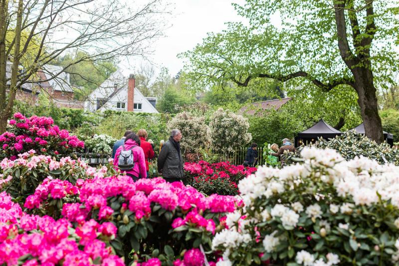 La fête des plantes et du jardin d'Aywiers