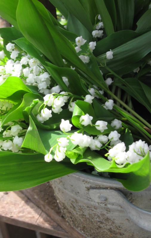 Festival du Muguet