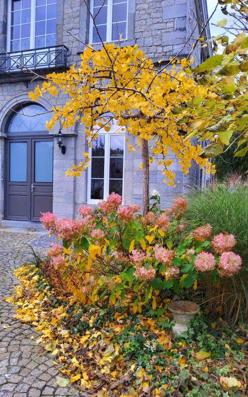 FETE DES PARCS ET JARDINS DE WALLONIE.