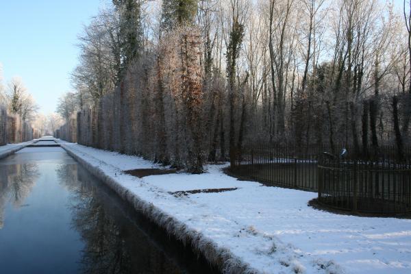 vue sur les étangs en hiver