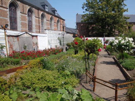 Le potager