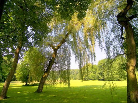 Photos Territoire Parc Monceau Sur Sambre