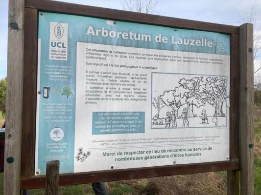 Arboretum de Lauzelle