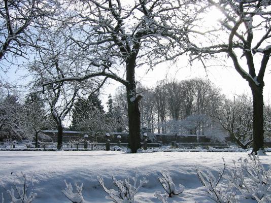 vue du jardin sous la neige