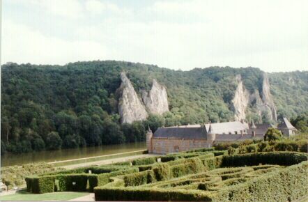 Vue du jardin avec les petites haies