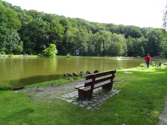 Domaine provincial du Bois des rêves 