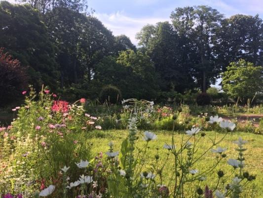 Parc de la Dodaine fleurs