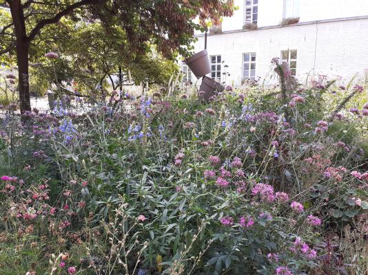 Jardin de l'Administration Communale d'Ath 