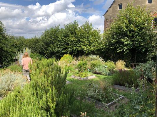 Herbes aromatiques Folcuin