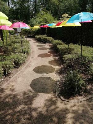 Jardin aux Parapluies - Bambois