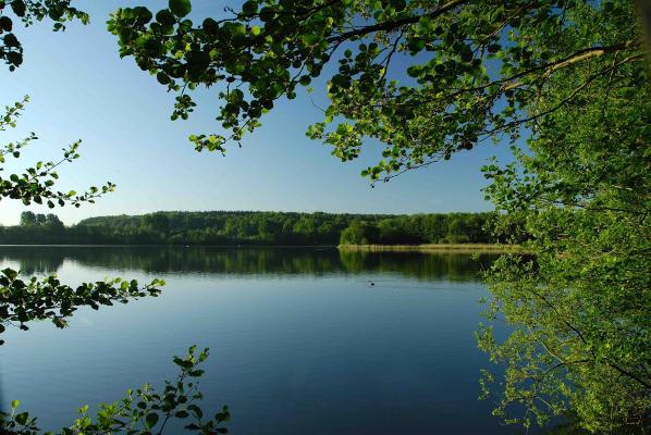 Lac de Bambois