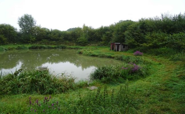 Le Village du saule