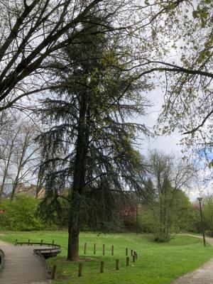 Parc de la source