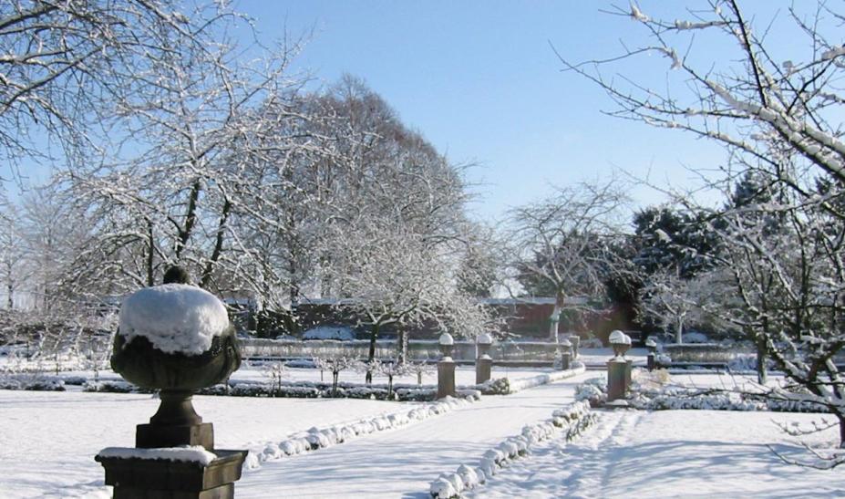 vue du jardin en hiver