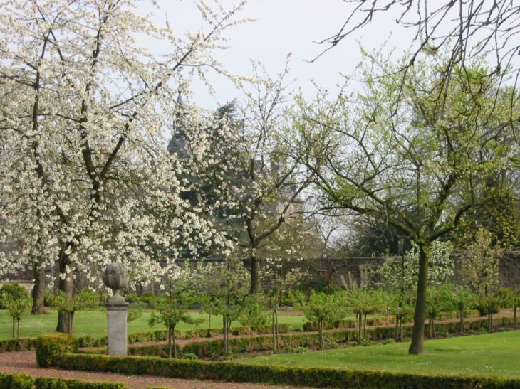 vue du château au milieu des fleurs