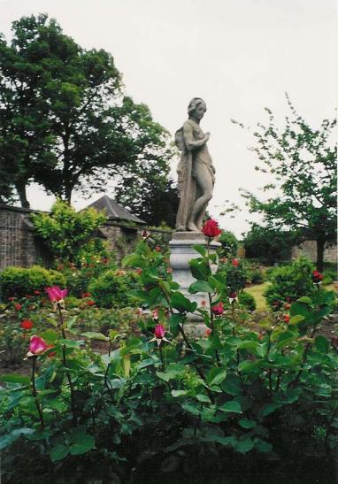 vue des roses du château