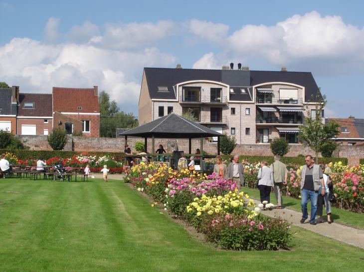 vue sur le salon du dahlia