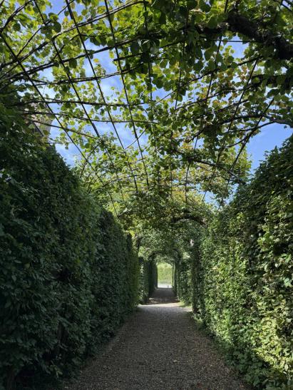 photo_1776880217
