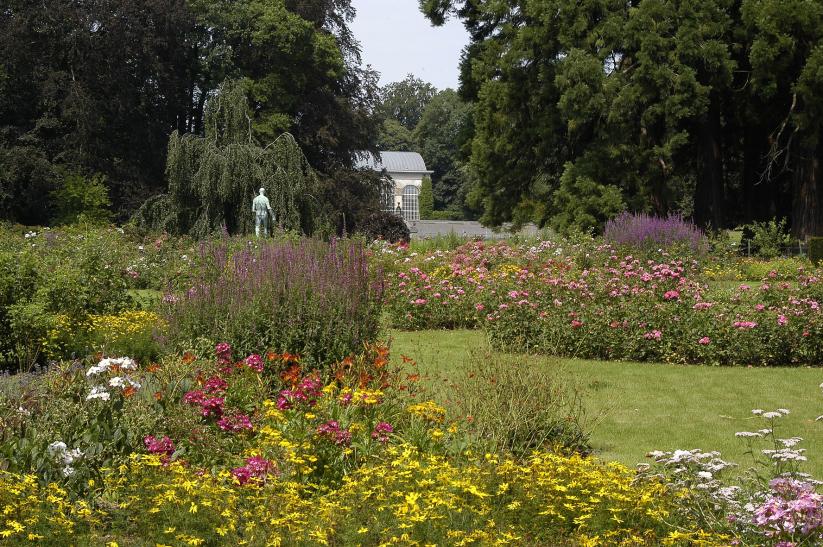 Vue sur les fleurs du parc