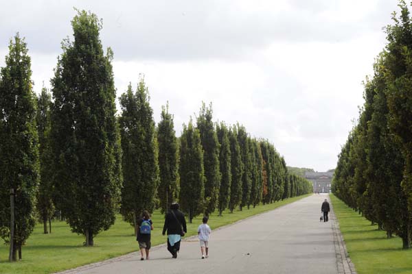 vue sur les allées du jardin