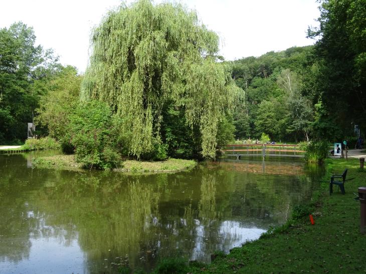 Domaine provincial du Bois des rêves 