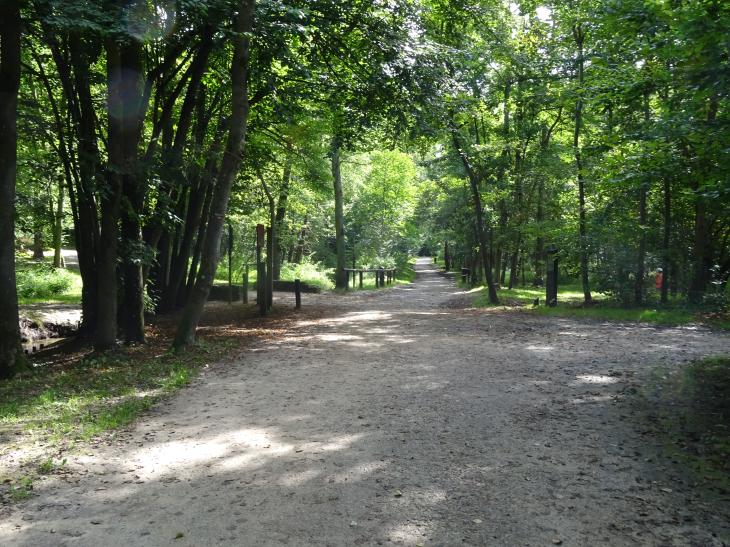 Domaine provincial du Bois des rêves 