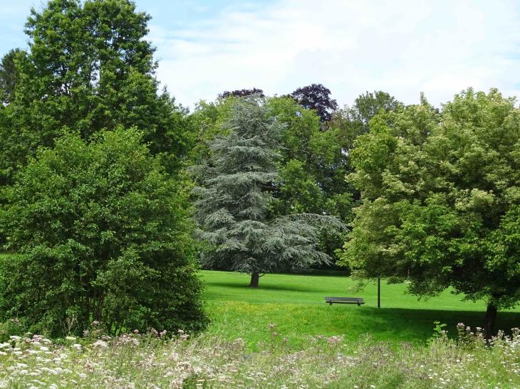 Arboretum de Monceau-sur-Sambre/ Parc Nelson Mandela