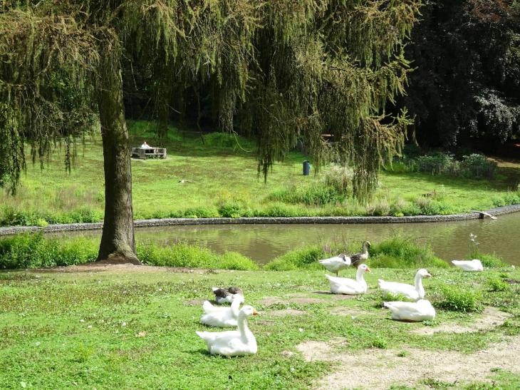 Arboretum du Parc de La Serna (Jumet)