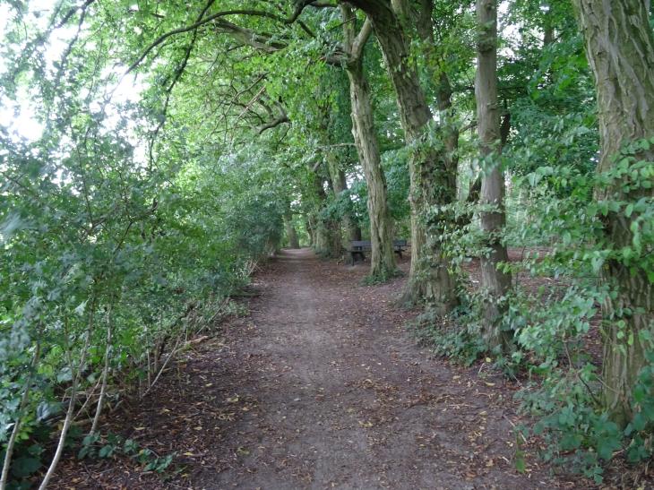 Arboretum du Parc de La Serna (Jumet)