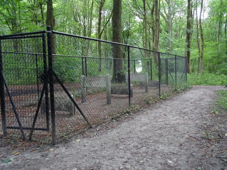Arboretum du Parc de La Serna (Jumet)