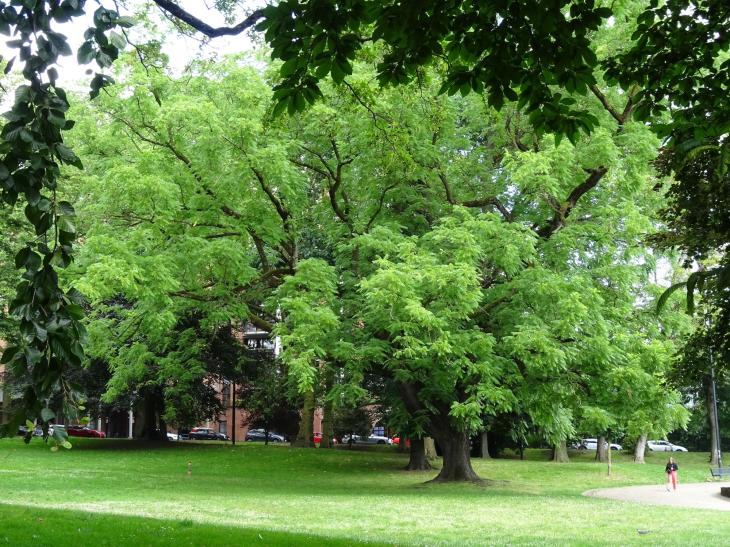 Parc Reine Astrid 