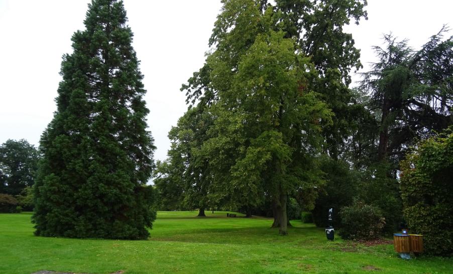 Parc de La Maison communale (Brunehaut)